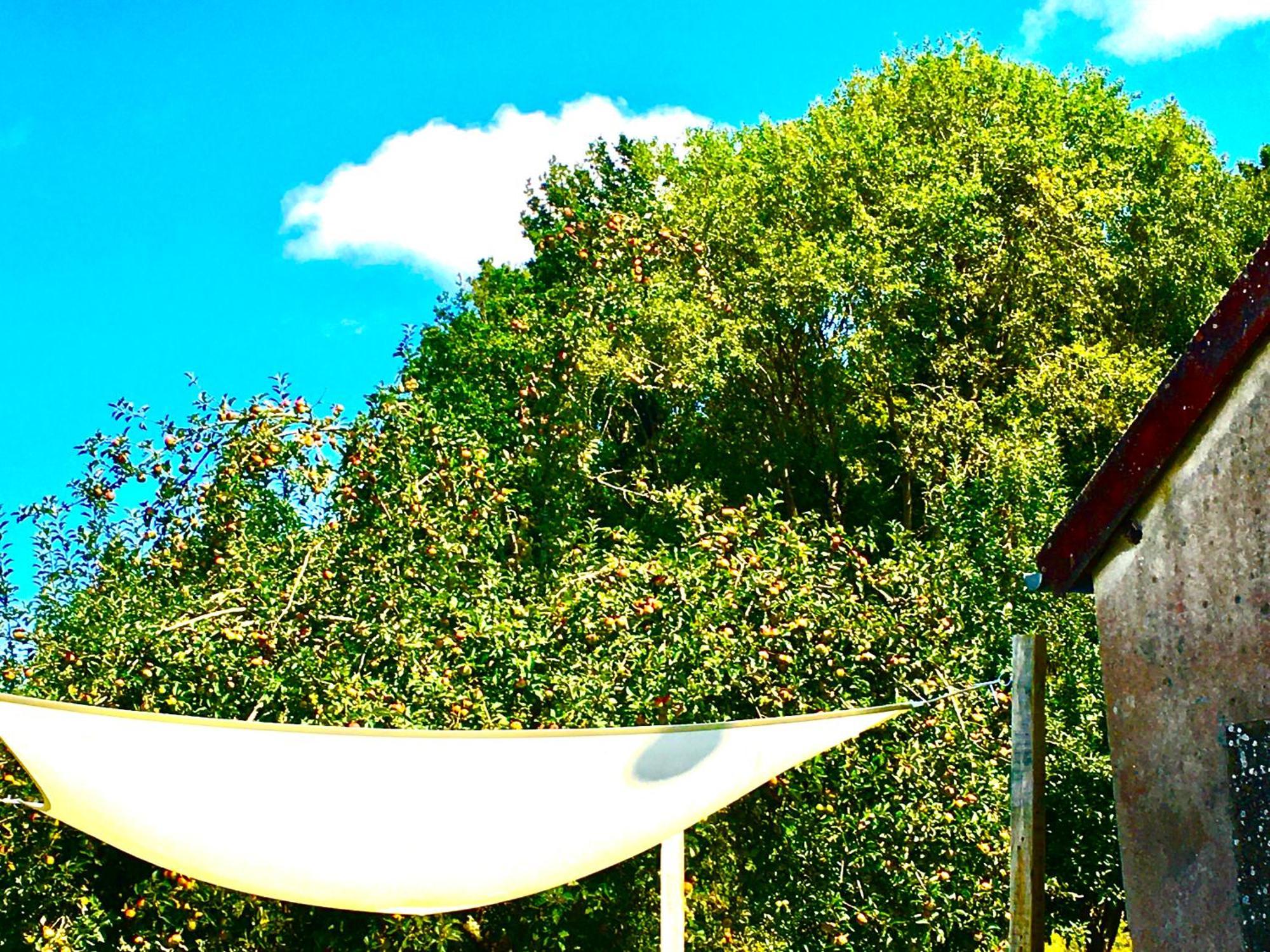 La Mirabelle Bed & Breakfast Saint-Pierre-de-Fursac Bagian luar foto